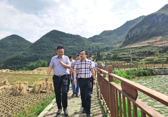 畢節工業職業技術學院黨委書記李涌、院長邱國援率隊到鄉村振興駐村聯系工作點調研