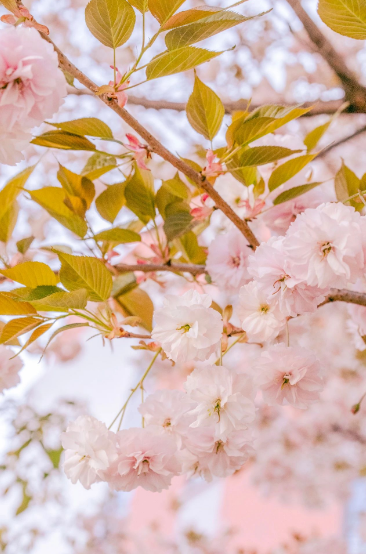 這一陣春風(fēng)，讓工職院學(xué)子為之心動(dòng)