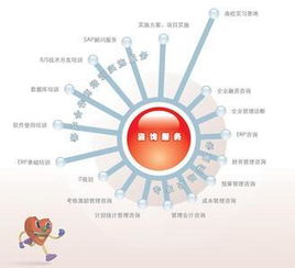 管理咨询 企业成长的战略伴侣