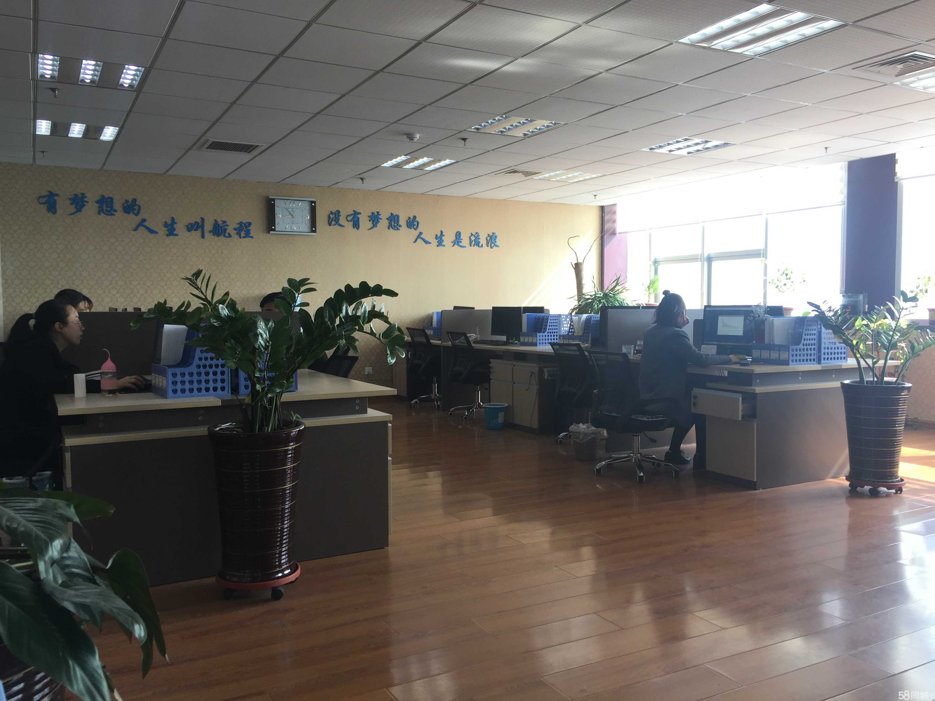 潍坊鑫桥大通企业管理咨询 助力企业转型升级的智慧伙伴